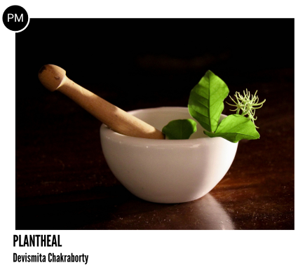 For knowledge seekers of traditional Indian medicinal plants Who struggles with getting knowledge from trusted and accredited source and availability of authentic farm produce