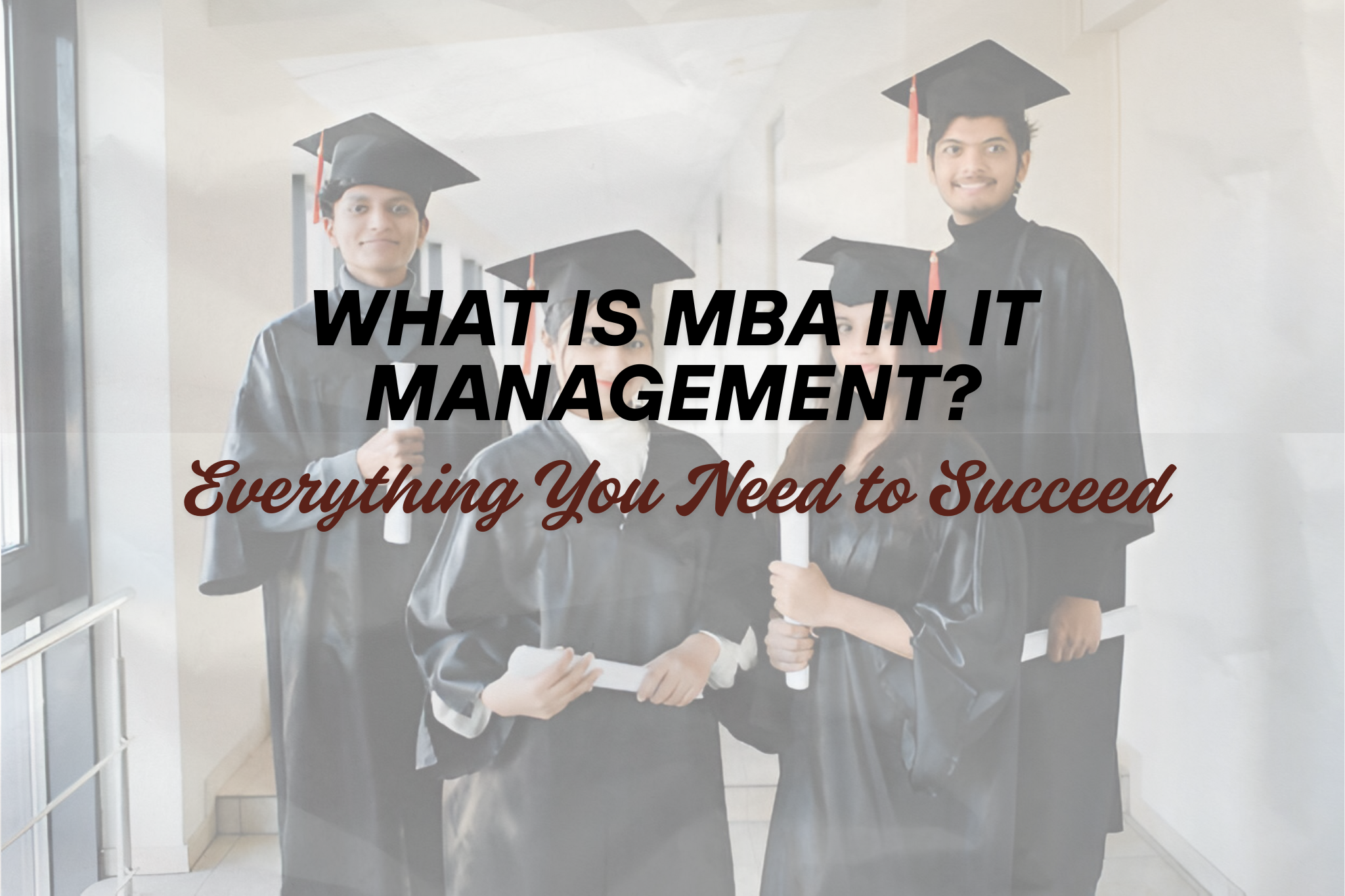 mba in it management