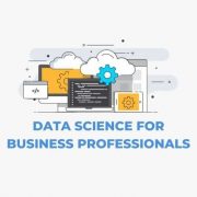 Data Science for Business Professionals